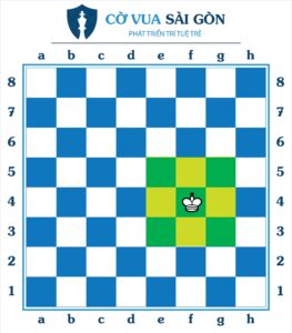 Quân vua trong cờ vua